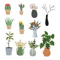 Set of isolated flowers in pots, vases and baskets - succulents, cacti, monstera. Vector flat