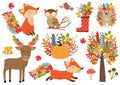 Set of isolated forest animals and autumn plants