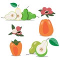 Set of isolated fruits. Pears, persimmon, lichee