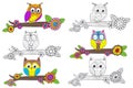Set of isolated funny owl on branch