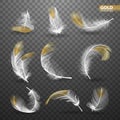Set of isolated gold falling white fluffy twirled feathers on transparent background in realistic style. Vector
