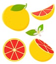 Set of isolated grapefruits in cartoon style with flowering. Vector illustration on white background. Royalty Free Stock Photo