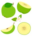 Set of isolated green apple in cartoon style with flowering. Vector illustration on white background. Royalty Free Stock Photo