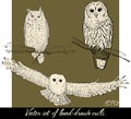 Set of isolated hand-drawn owls 2. Royalty Free Stock Photo