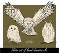 Set of isolated hand-drawn owls 1. Royalty Free Stock Photo