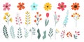 Set isolated hand drawn spring and summer flowers. Blossom heads of flowers, herbs, leaves, branches, Royalty Free Stock Photo