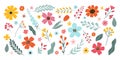 Set isolated hand drawn spring and summer flowers. Blossom flowers, leaves, branches, berries, tulip. Royalty Free Stock Photo