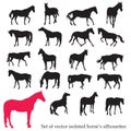 Set of isolated horses silhouettes