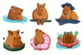 Set of isolated illustrations of cute capybaras in different poses with accessories.