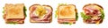 set of isolated illustrations of different sandwich. Generative AI