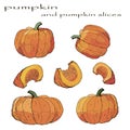 The set of isolated image of orange pumpkins doodles