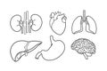 Set of isolated internal human organ lineart icon