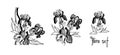 A set of isolated iris flowers are drawn graphically with the inscription Flora set.