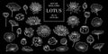 Set of isolated lotus in 32 styles. Cute hand drawn flower vector illustration only white outline. Royalty Free Stock Photo