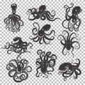 Set of isolated octopus mascot or tattoo Royalty Free Stock Photo