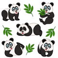 set of isolated panda