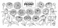 Set of isolated peony in 21 styles. Cute hand drawn flower vector illustration in black outline and white plane. Royalty Free Stock Photo