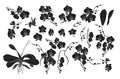 Set of isolated phalaenopsis orchid silhouettes