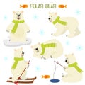 Set of isolated polar bear Royalty Free Stock Photo