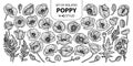 Set of isolated poppy in 42 styles. Cute hand drawn vector illustration in black outline and white plane.
