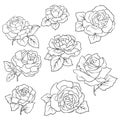 set of Isolated rose. Outline drawing. Stock line vector illustr