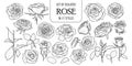 Set Of Isolated Rose In 17 Styles. Cute Flower Illustration In Hand Drawn Style.