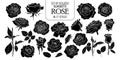 Set of isolated rose in 17 styles. Cute flower illustration in hand drawn style