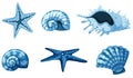 Set of isolated set of sea shells in blue Royalty Free Stock Photo