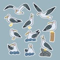 Set of isolated seagull characters Royalty Free Stock Photo