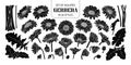 Set of isolated silhouette gerbera in 26 styles.