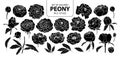 Set of isolated silhouette peony in 21 styles. Cute hand drawn flower vector illustration in white outline and black plane. Royalty Free Stock Photo