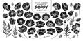 Set of isolated silhouette poppy in 42 styles. Cute hand drawn vector illustration in white outline and black plane.