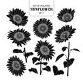 Set of isolated silhouette sunflower set 1. Royalty Free Stock Photo