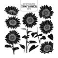 Set of isolated silhouette sunflower set 2. Royalty Free Stock Photo