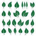 Set of isolated simple leaves icons. Elements for eco and bio logos and symbols.