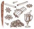 Set of isolated sketches for aroma spices