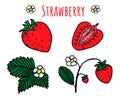 Set of isolated sketchy strawberries with flowers and leaves. Bright colors. Vector Royalty Free Stock Photo