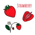 Set of isolated sketchy strawberries with flowers and leaves. Bright colors. Vector Royalty Free Stock Photo