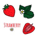 Set of isolated sketchy strawberries with flowers and leaves. Bright colors. Vector Royalty Free Stock Photo