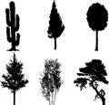 Set isolated trees - 11