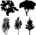 Set isolated trees - 14