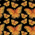 Set of isolated watercolor butterflies on black background. Vintage summer isolated spring art. Watercolor illustrations