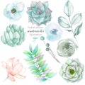 Set with the isolated watercolor floral elements: succulents, flowers, leaves and branches, hand drawn on a white background Royalty Free Stock Photo