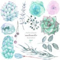 Set with the isolated watercolor floral elements: succulents, flowers, leaves and branches, hand drawn on a white background Royalty Free Stock Photo