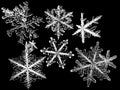 Snowflakes