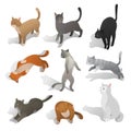 Set of isometric cartoon cats in different poses.