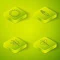 Set Isometric Corn, Leaf or leaves, Leaf or leaves and Sun icon. Vector