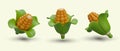 Set of isometric corncobs with green leaves. Ripe yellow corn. Agronomic fodder culture Royalty Free Stock Photo