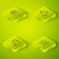 Set Isometric Dog head, Macaw parrot, Turtle and Paw print icon. Vector