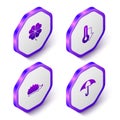 Set Isometric Four leaf clover, Thermometer, Hedgehog and Umbrella icon. Purple hexagon button. Vector